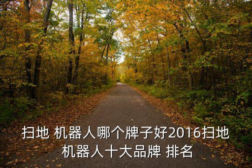 掃地 機(jī)器人哪個(gè)牌子好2016掃地 機(jī)器人十大品牌 排名