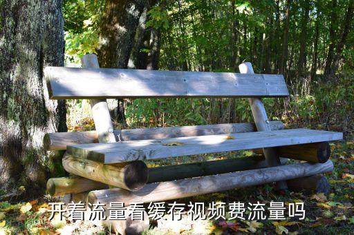 用數(shù)據(jù)看電影會(huì)欠費(fèi)么
