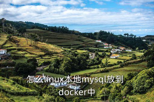怎么linux本地mysql放到 docker中