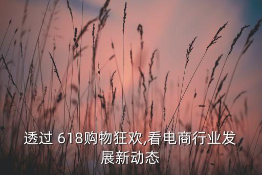 京東618財務(wù)數(shù)據(jù)