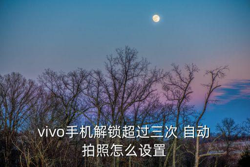 vivo自動拍照,vivo手機出現(xiàn)黑屏問題怎么辦?