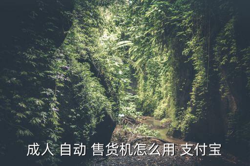 成人 自動 售貨機(jī)怎么用 支付寶