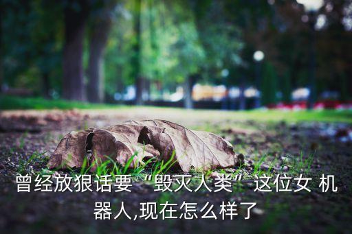 沙特公民身份機器人,世界上第一個擁有公民身份的機器人是誰