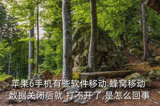 蘋果6手機(jī)有些軟件移動 蜂窩移動 數(shù)據(jù)關(guān)閉后就 打不開了,是怎么回事