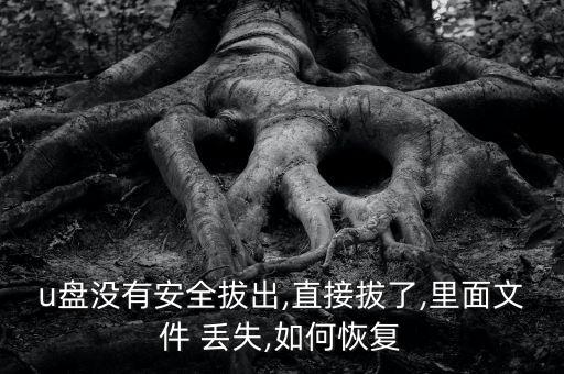 u盤(pán)沒(méi)有安全拔出,直接拔了,里面文件 丟失,如何恢復(fù)