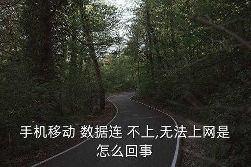 為啥數(shù)據(jù)連接不上網(wǎng)絡(luò)連接不可用