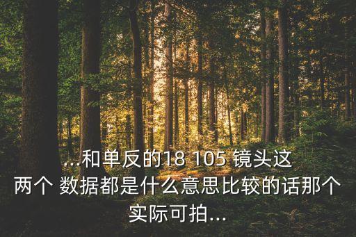 ...和單反的18 105 鏡頭這兩個(gè) 數(shù)據(jù)都是什么意思比較的話那個(gè)實(shí)際可拍...