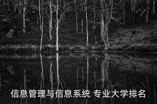 信息管理與信息系統(tǒng) 專業(yè)大學(xué)排名