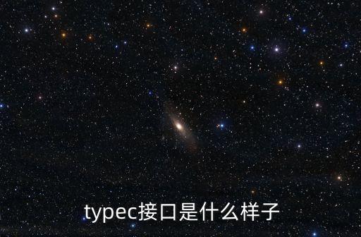  typec接口是什么樣子