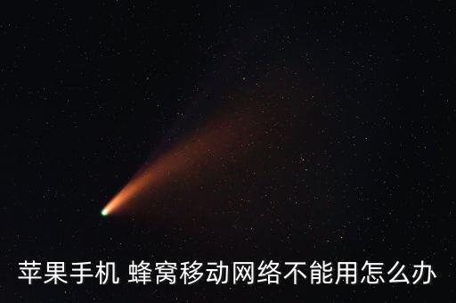 蜂窩數(shù)據(jù) 無(wú)法上網(wǎng),ipad mini5 蜂窩數(shù)據(jù)無(wú)法上網(wǎng)