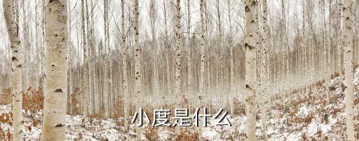  小度是什么