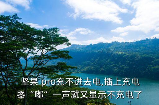 堅(jiān)果pro 數(shù)據(jù)線接口,ipad pro數(shù)據(jù)線是什么接口