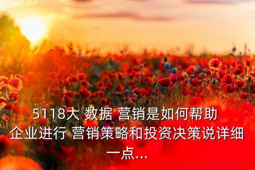 5118大 數(shù)據(jù) 營銷是如何幫助 企業(yè)進(jìn)行 營銷策略和投資決策說詳細(xì)一點(diǎn)...