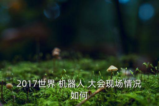 2017世界 機器人 大會現(xiàn)場情況如何