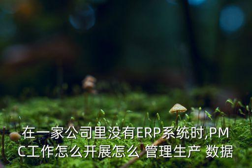 在一家公司里沒(méi)有ERP系統(tǒng)時(shí),PMC工作怎么開(kāi)展怎么 管理生產(chǎn) 數(shù)據(jù)