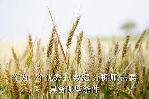 作為一個(gè)優(yōu)秀的 數(shù)據(jù) 分析師,需要具備哪些條件