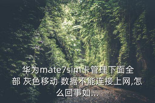  華為mate7sim卡管理下面全部 灰色移動 數(shù)據(jù)不能連接上網(wǎng),怎么回事如...