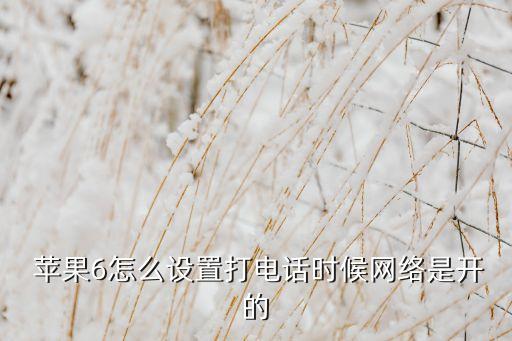 蘋果6打開蜂窩數(shù)據(jù)圖片,蘋果手機(jī)打開了蜂窩數(shù)據(jù)還是用不了網(wǎng)