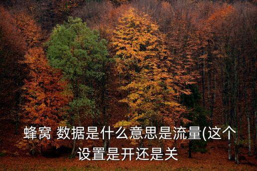  蜂窩 數(shù)據(jù)是什么意思是流量(這個設(shè)置是開還是關(guān)