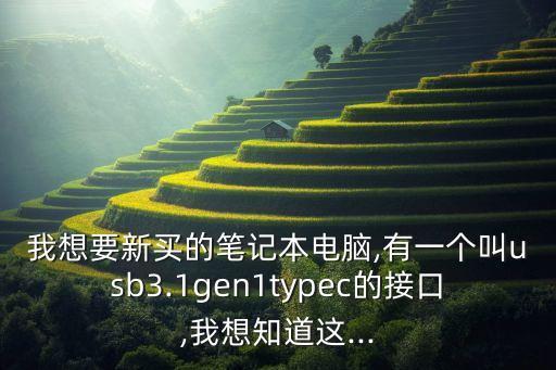 我想要新買(mǎi)的筆記本電腦,有一個(gè)叫usb3.1gen1typec的接口,我想知道這...