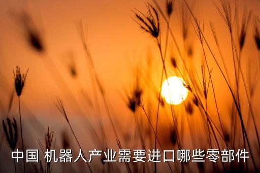 中國(guó) 機(jī)器人產(chǎn)業(yè)需要進(jìn)口哪些零部件