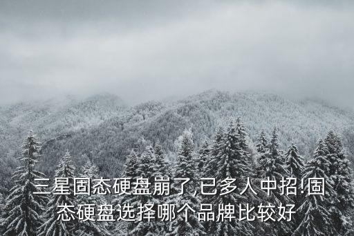 西部數(shù)據(jù)ssd和三星ssd,三星和西部數(shù)據(jù)的m2哪個(gè)好