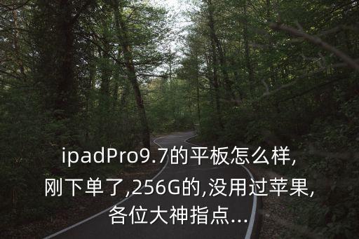 ipadPro9.7的平板怎么樣,剛下單了,256G的,沒用過蘋果,各位大神指點...