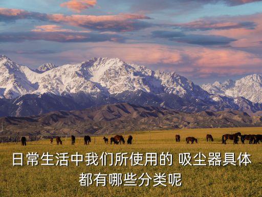 日常生活中我們所使用的 吸塵器具體都有哪些分類呢