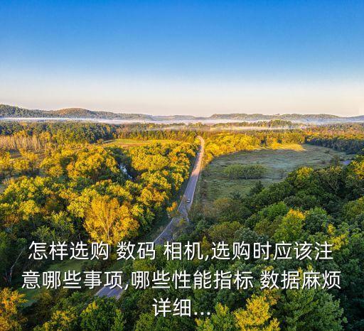怎樣選購 數(shù)碼 相機(jī),選購時(shí)應(yīng)該注意哪些事項(xiàng),哪些性能指標(biāo) 數(shù)據(jù)麻煩詳細(xì)...