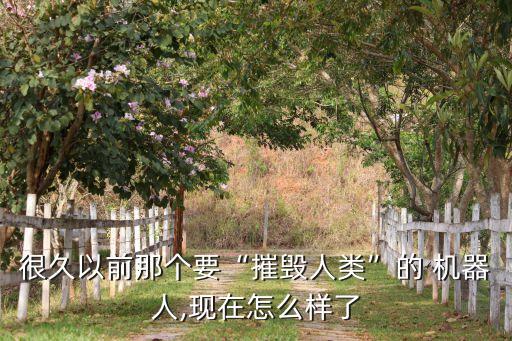很久以前那個(gè)要“摧毀人類”的 機(jī)器人,現(xiàn)在怎么樣了