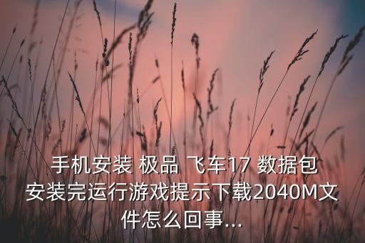  手機(jī)安裝 極品 飛車17 數(shù)據(jù)包安裝完運(yùn)行游戲提示下載2040M文件怎么回事...