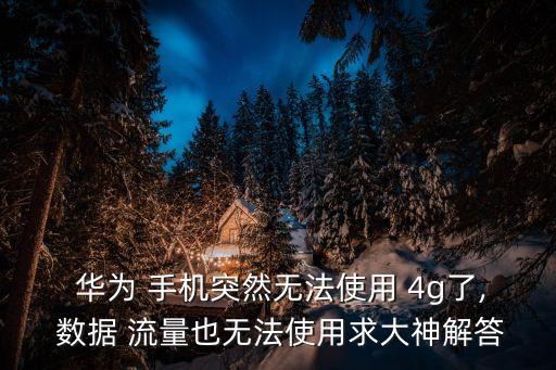  華為 手機(jī)突然無法使用 4g了, 數(shù)據(jù) 流量也無法使用求大神解答