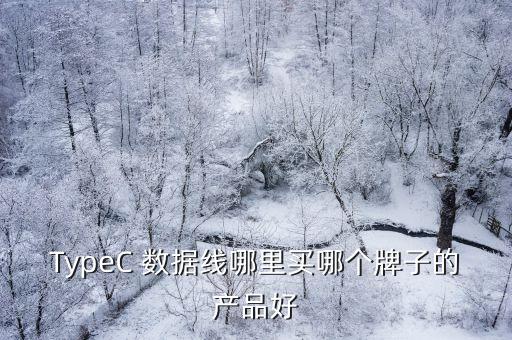 c口數(shù)據(jù)線什么牌子好,aszune數(shù)據(jù)線什么牌子