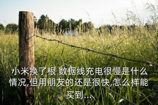 小米數(shù)據(jù)線不耐用,小米6A數(shù)據(jù)線L2