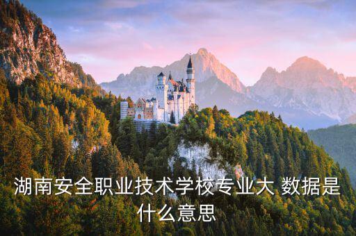 大數(shù)據(jù)指的是所涉及,涉及大數(shù)據(jù)的專業(yè)