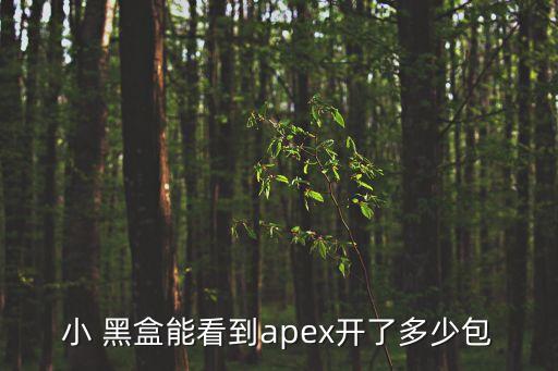 小黑盒武器數(shù)據(jù)