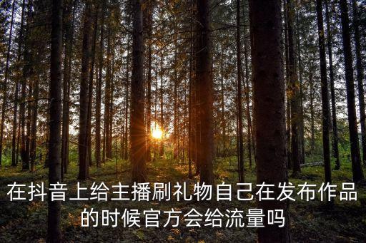 在抖音上給主播刷禮物自己在發(fā)布作品的時(shí)候官方會(huì)給流量嗎