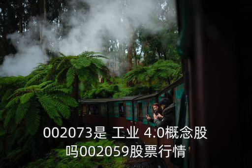 002073是 工業(yè) 4.0概念股嗎002059股票行情