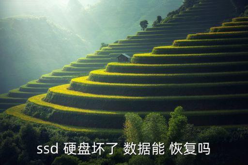 ssd 硬盤(pán)壞了 數(shù)據(jù)能 恢復(fù)嗎