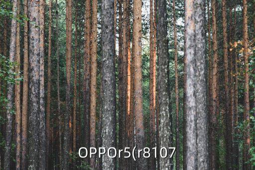 oppor8107恢復(fù)數(shù)據(jù)