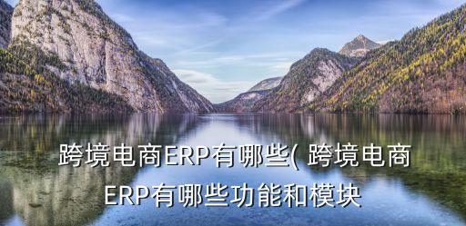 跨境電商ERP有哪些( 跨境電商ERP有哪些功能和模塊