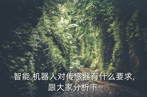  智能 機器人對傳感器有什么要求,跟大家分析下