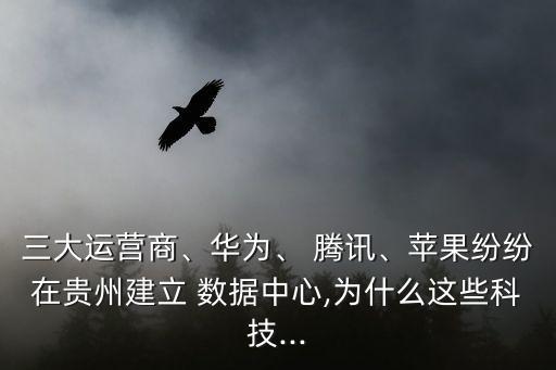 三大運(yùn)營(yíng)商、華為、 騰訊、蘋果紛紛在貴州建立 數(shù)據(jù)中心,為什么這些科技...