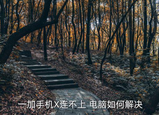  一加手機(jī)X連不上 電腦如何解決