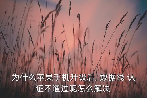 為什么蘋(píng)果手機(jī)升級(jí)后, 數(shù)據(jù)線 認(rèn)證不通過(guò)呢怎么解決