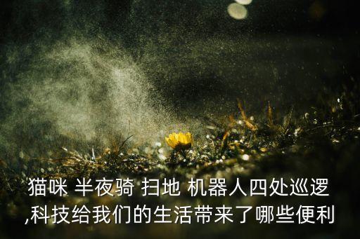 掃地機(jī)器人 半夜