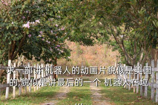 求一部講 機器人的動畫片貌似是美國的,貌似是講最后的一個 機器人在垃...