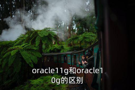 oracle11g和oracle10g的區(qū)別