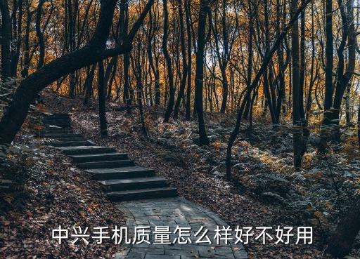 中興海外銷售數(shù)據(jù),青島啤酒海外銷售數(shù)據(jù)