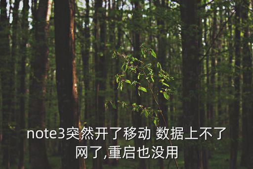 note3突然開了移動 數(shù)據(jù)上不了網(wǎng)了,重啟也沒用